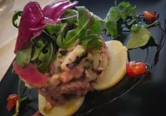 Tartare gourmet